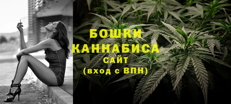 где продают   Злынка  Марихуана THC 21% 